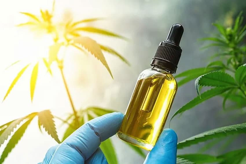 What to Look for When Shopping for CBD Products Online?