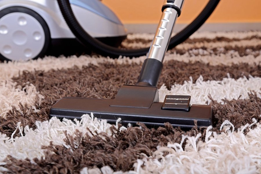 Is Professional Carpet Cleaning Worth It?