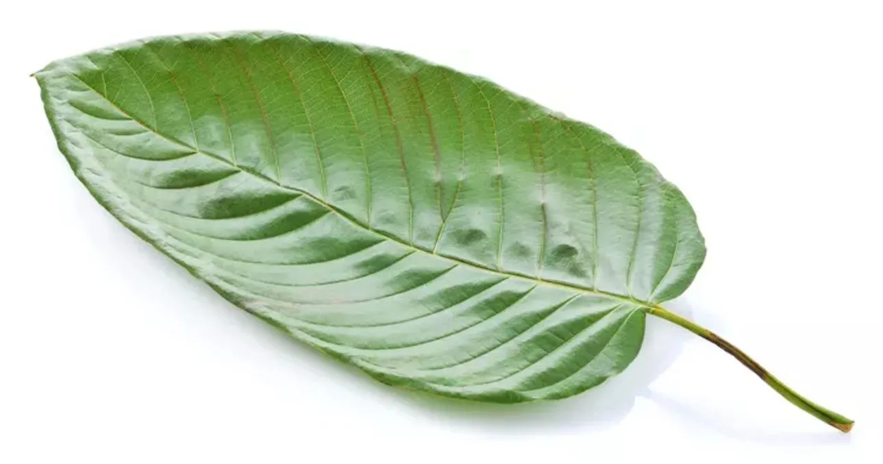 Kratom for Energy from Happy Go Leafy

