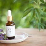CBD Oil Options