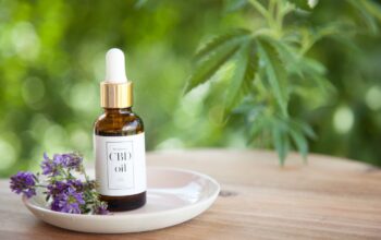 CBD Oil Options