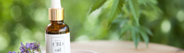 CBD Oil Options