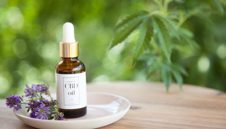 CBD Oil Options