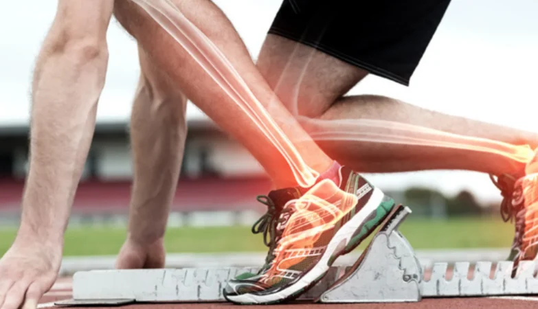 BPC-157 And Bone Healing: Understanding Potential Recovery Support